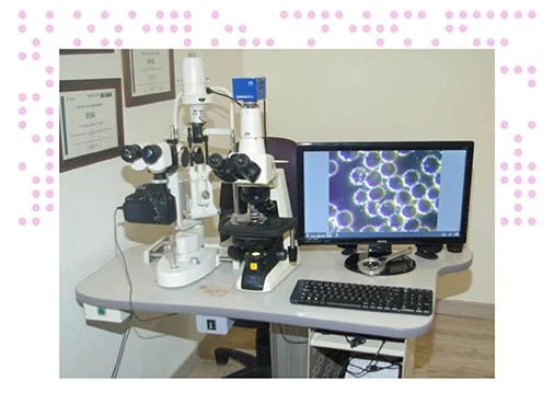 consulta y técnica de microscopía de campo oscuro en Torrent, valencia